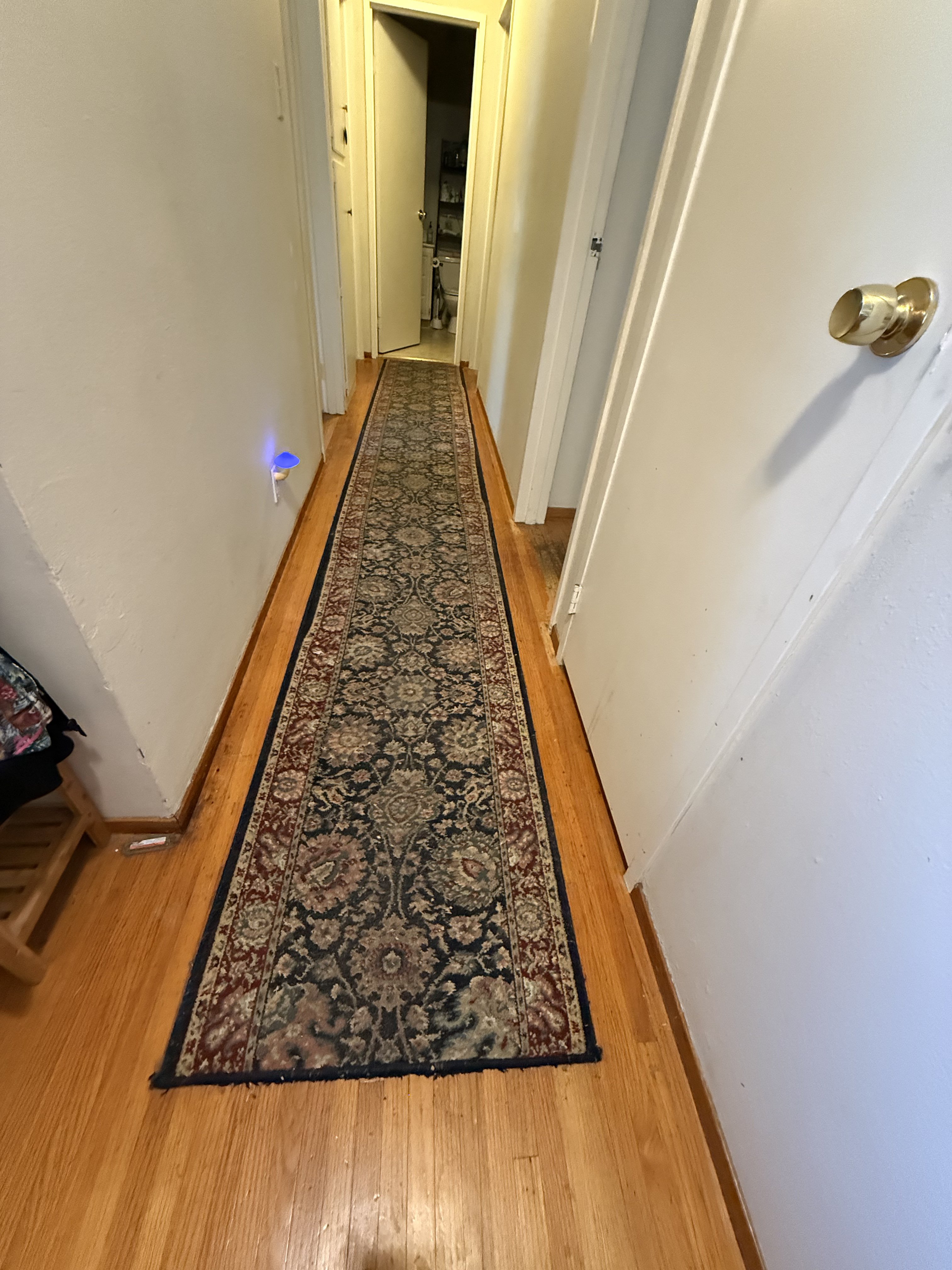 hall rug / runner